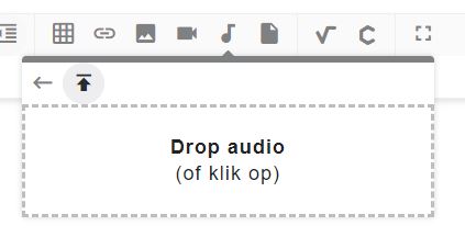 audio.JPG